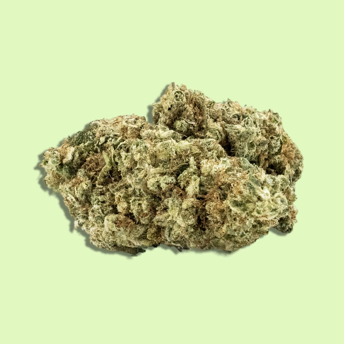 OG Kush | Indoor | 16% CBD