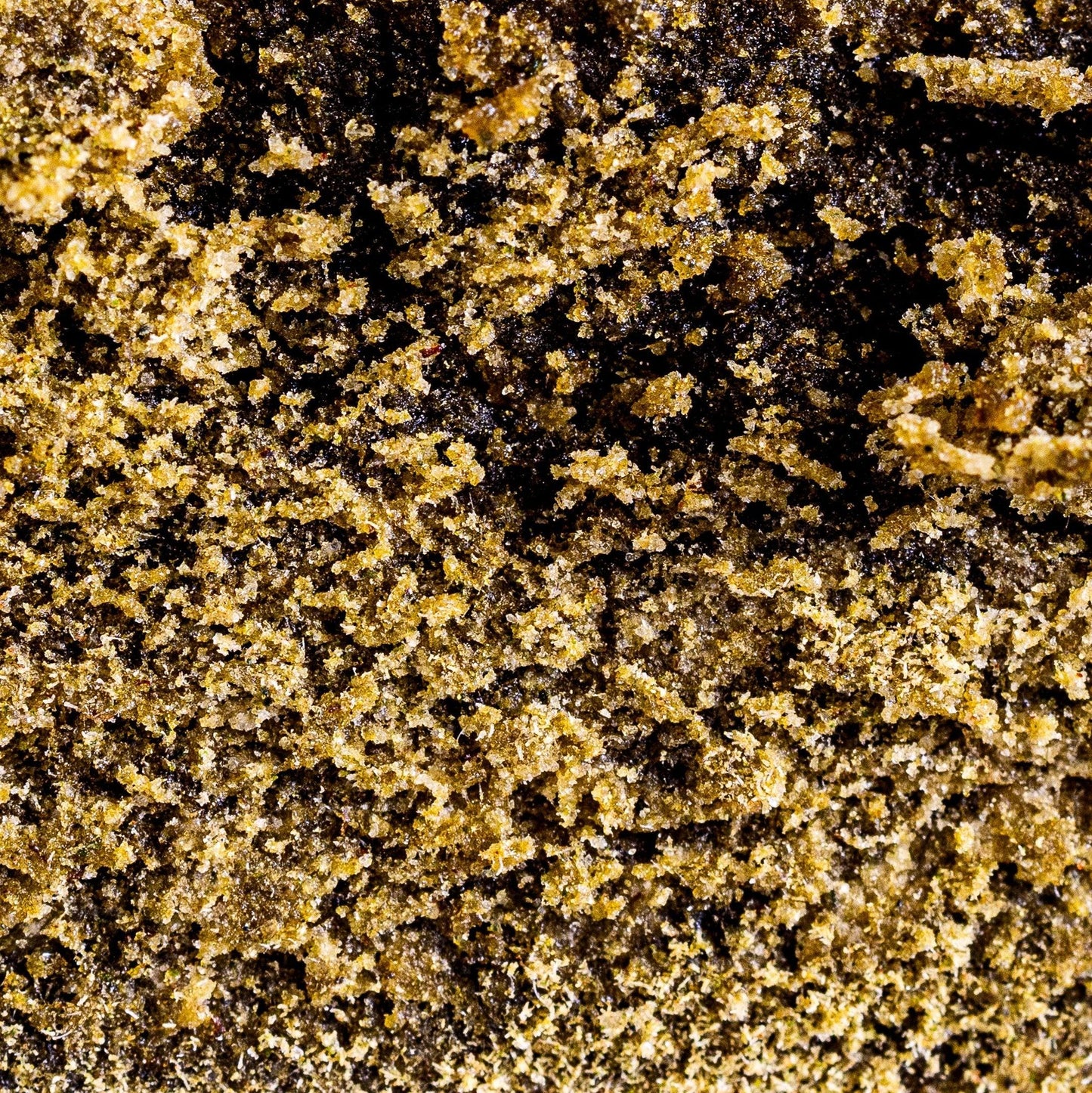 Fresh Frozen | 39% CBD - Herbe à chat CBD