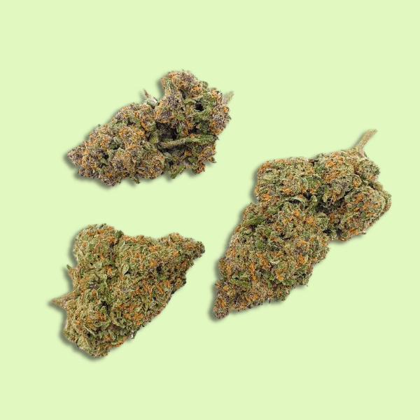 Black Sugar Rose | Glass-house | 13% CBD - Herbe à chat CBD