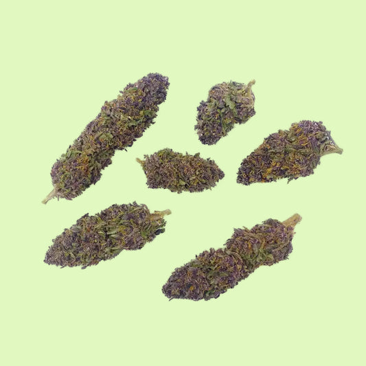 Purple Haze | Glass-House | 11% CBD