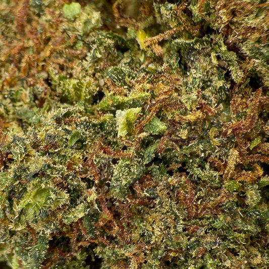 Raspberry Cough | Indoor | 30% CBC