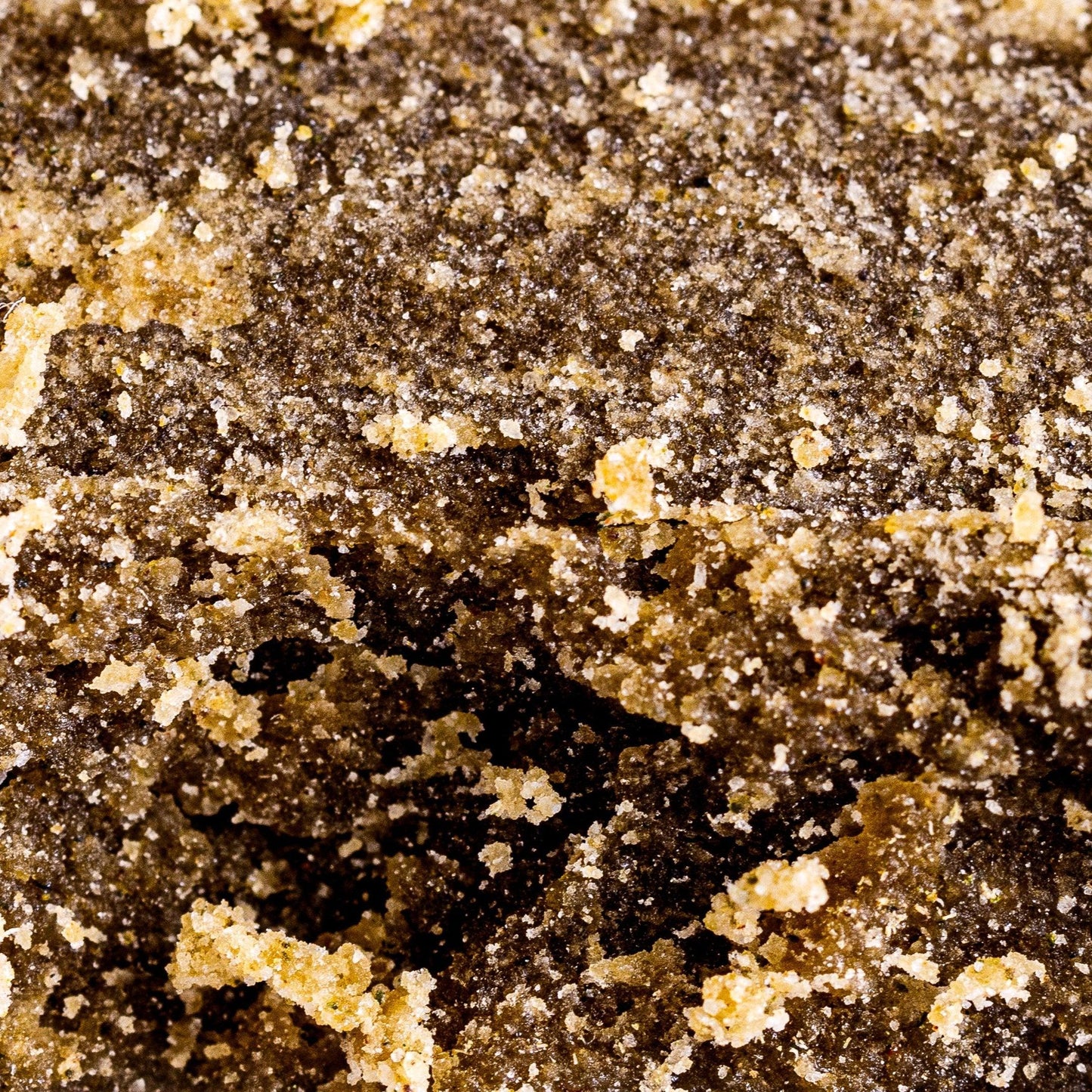 Static Sift 75µ | 38% CBD - Herbe à chat CBD