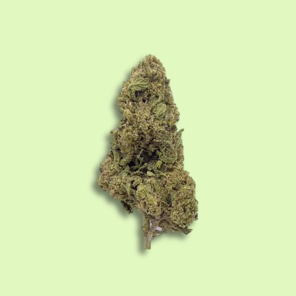 Cheese | Glass-House | 11% CBD