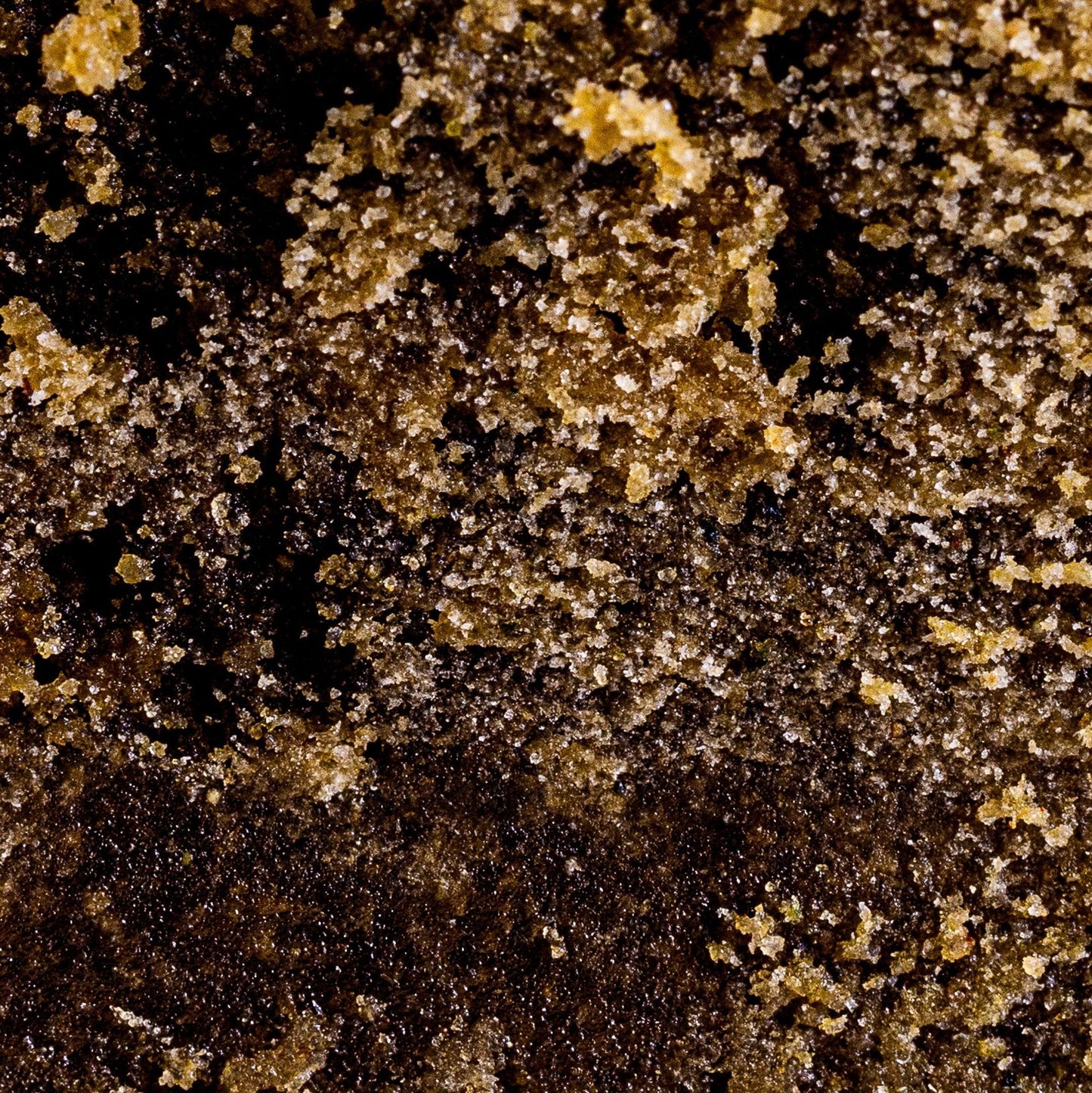 Piatella | 38% CBD - Herbe à chat CBD