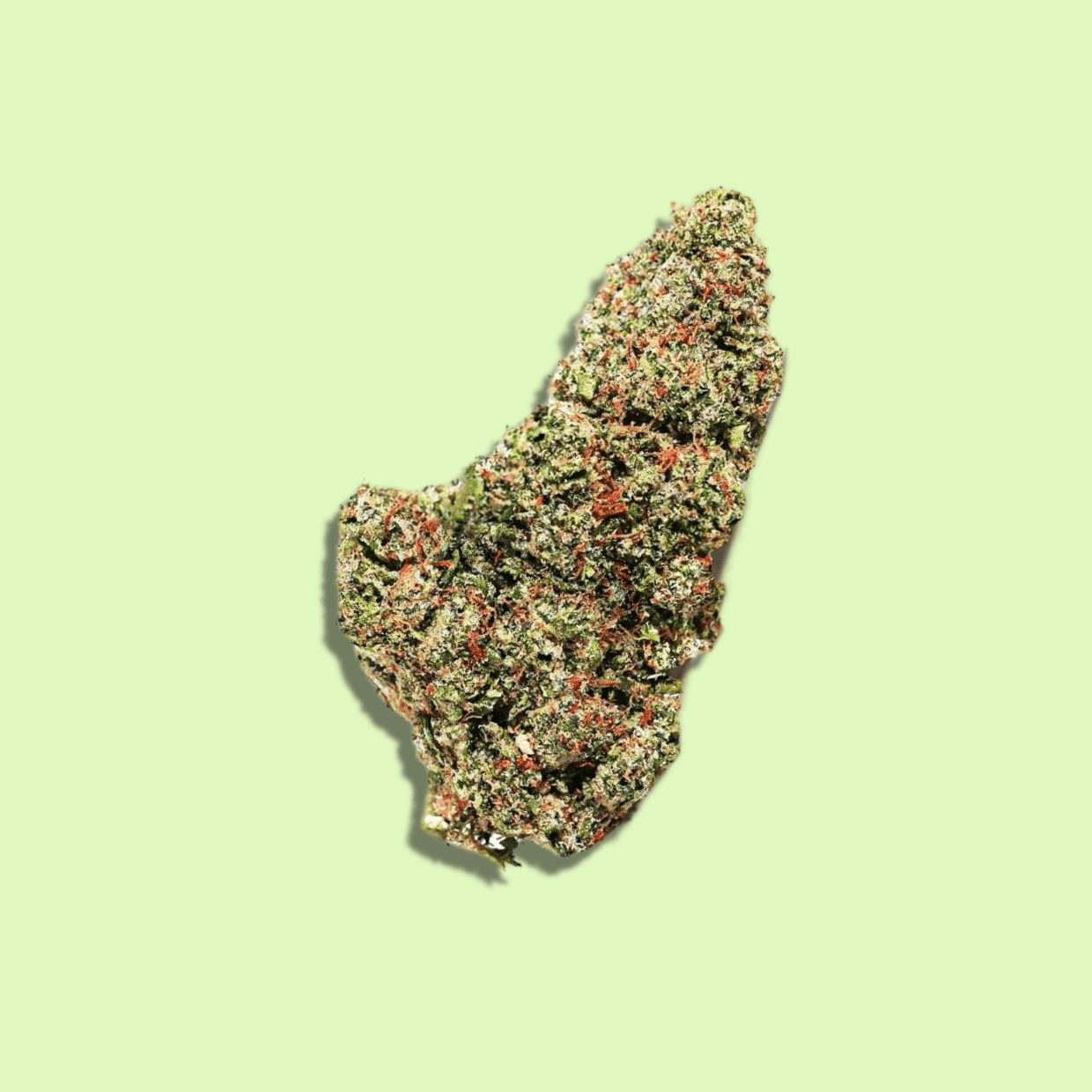 PLT-2 | Indoor hydroponique | 22% CBD - Herbe à chat CBD