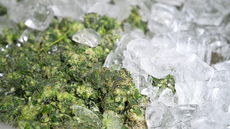 Guide Complet pour Réaliser du Bubble Hash à la Maison - Herbe à chat CBD Image