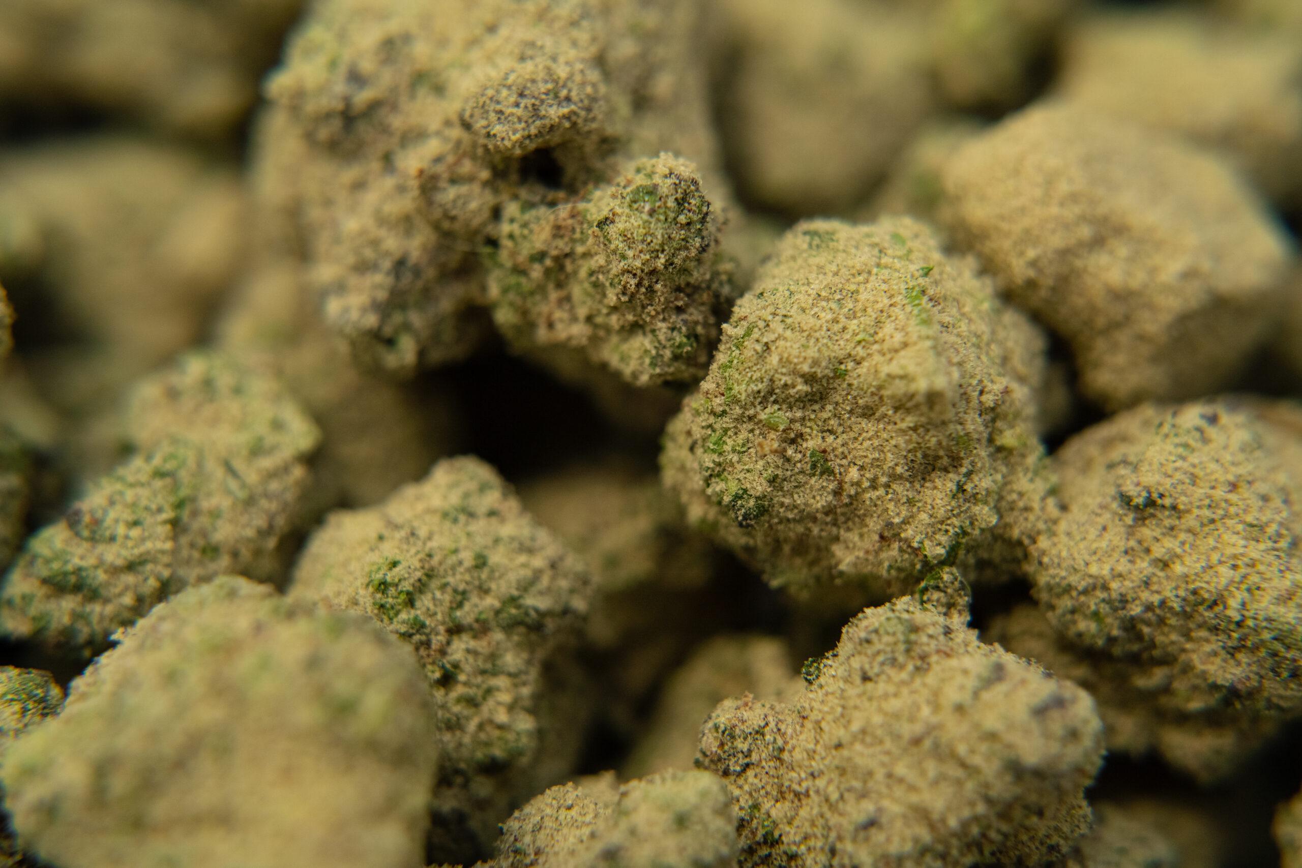 Moon Rocks Weed : Un Plongeon dans l'univers du Caviar de Cannabis - Herbe à chat CBD Image