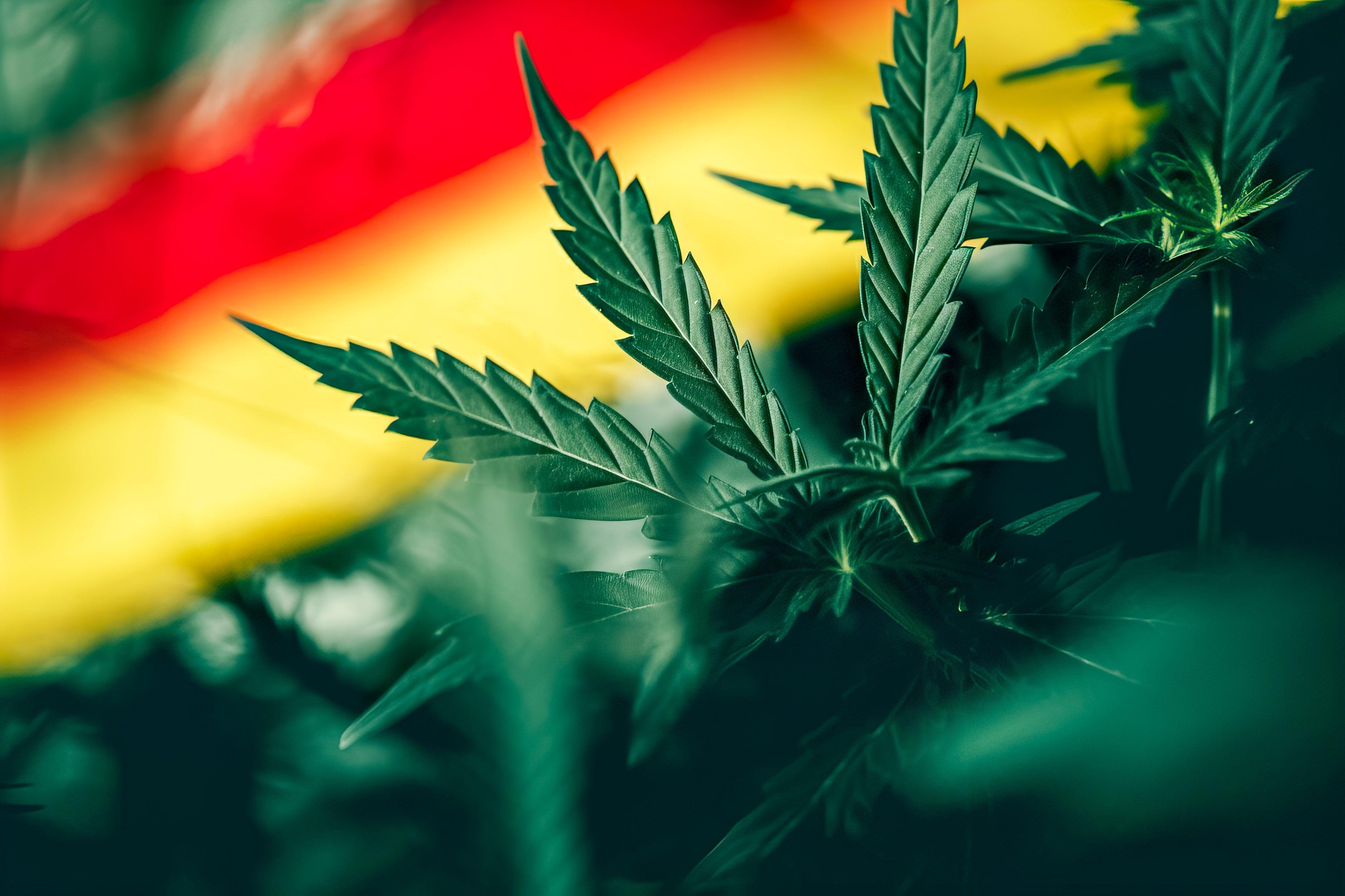 Allemagne : Accord Final pour la Légalisation du Cannabis Image