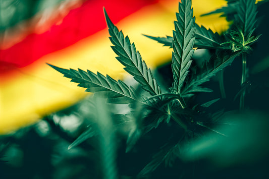 Allemagne : Accord Final pour la Légalisation du Cannabis