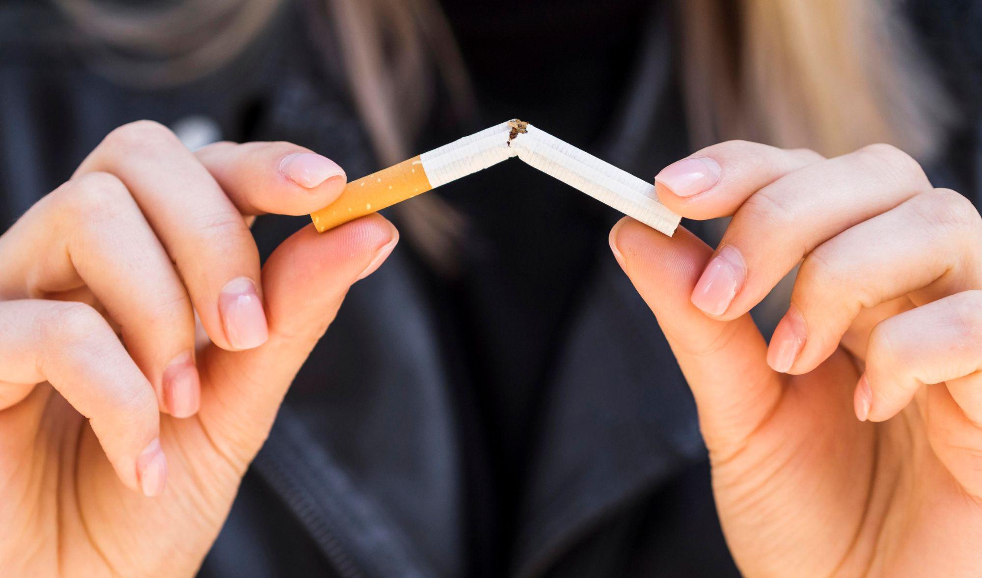 COMMENT ÉLIMINER LE TABAC DE VOS JOINTS : LES MEILLEURES ALTERNATIVES - Herbe à chat CBD Image
