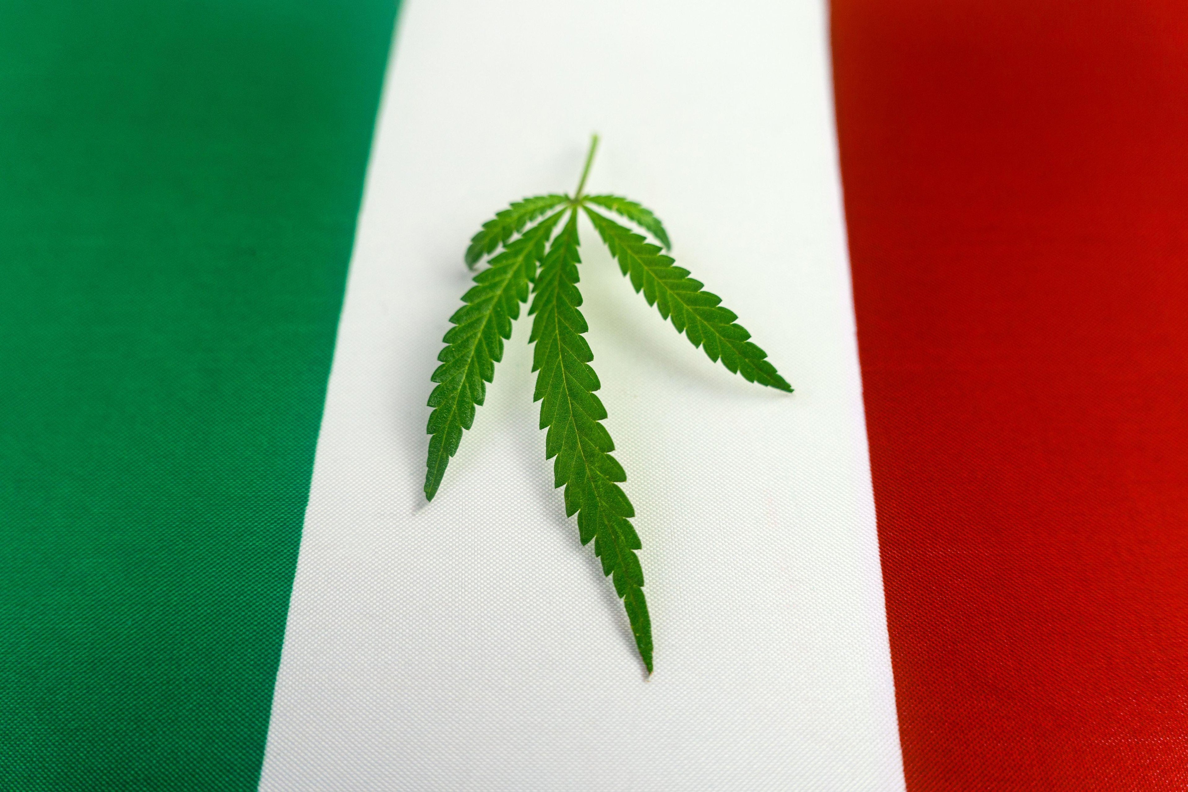 POURQUOI L’ITALIE S’ATTAQUE-T-ELLE AU CHANVRE CBD ? Image