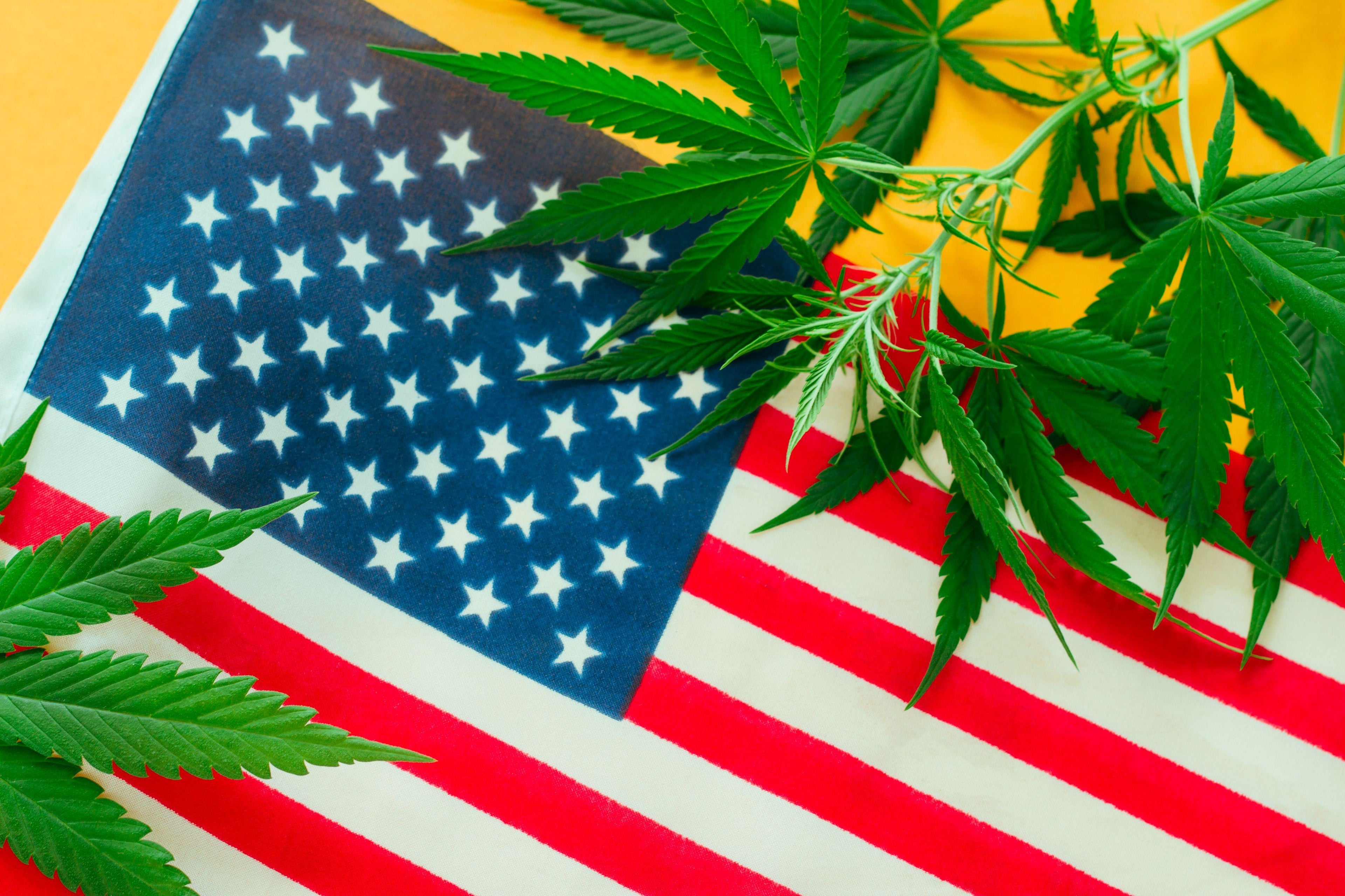 LÉGALISATION DU CANNABIS ET CONSOMMATION CHEZ LES JEUNES : UN CONSTAT INATTENDU Image