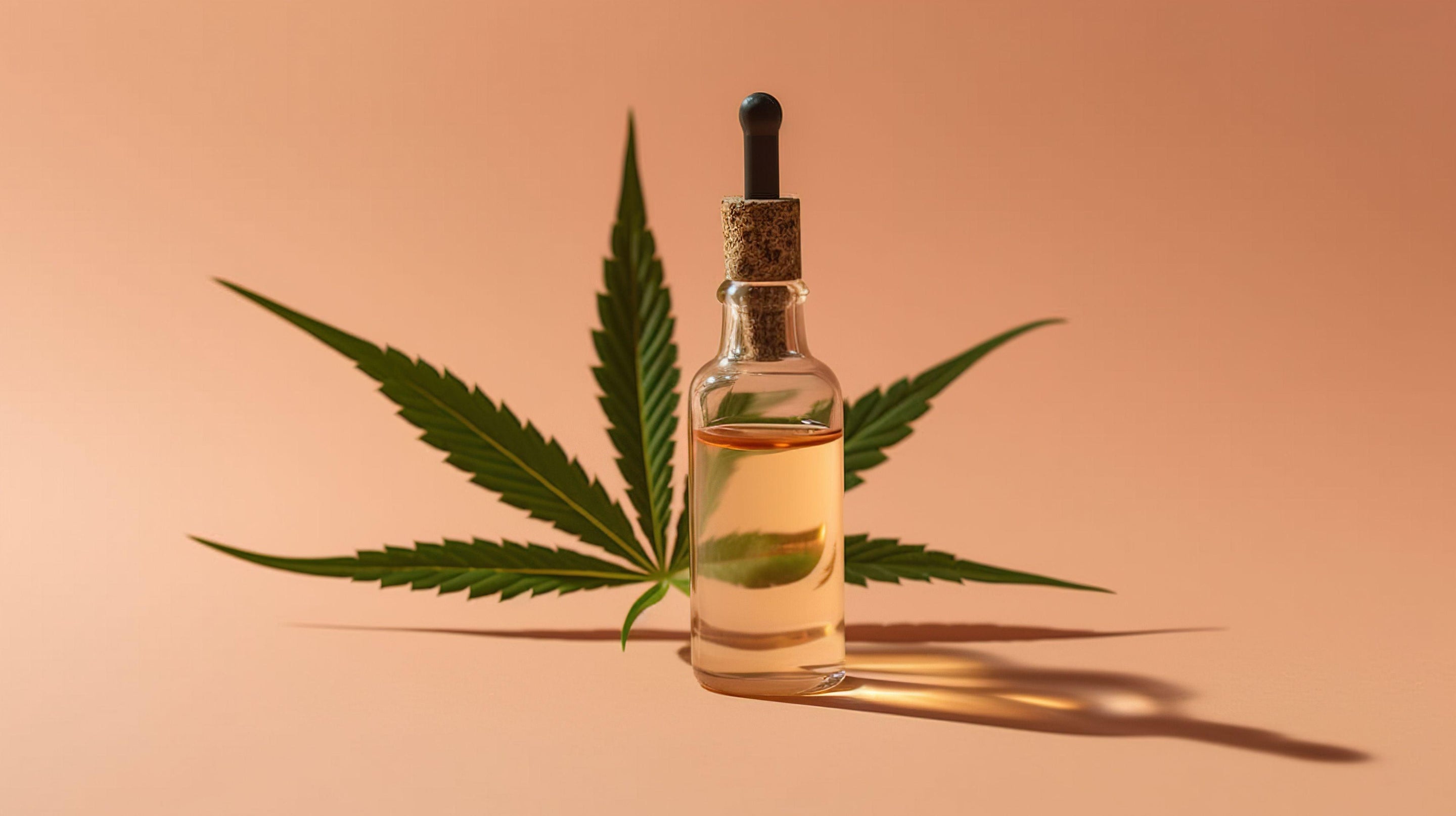 UN NOUVEL ESSAI CLINIQUE RÉVÈLE LES BIENFAITS DU CBG SUR LE STRESS ET L’ANXIÉTÉ - Herbe à chat CBD