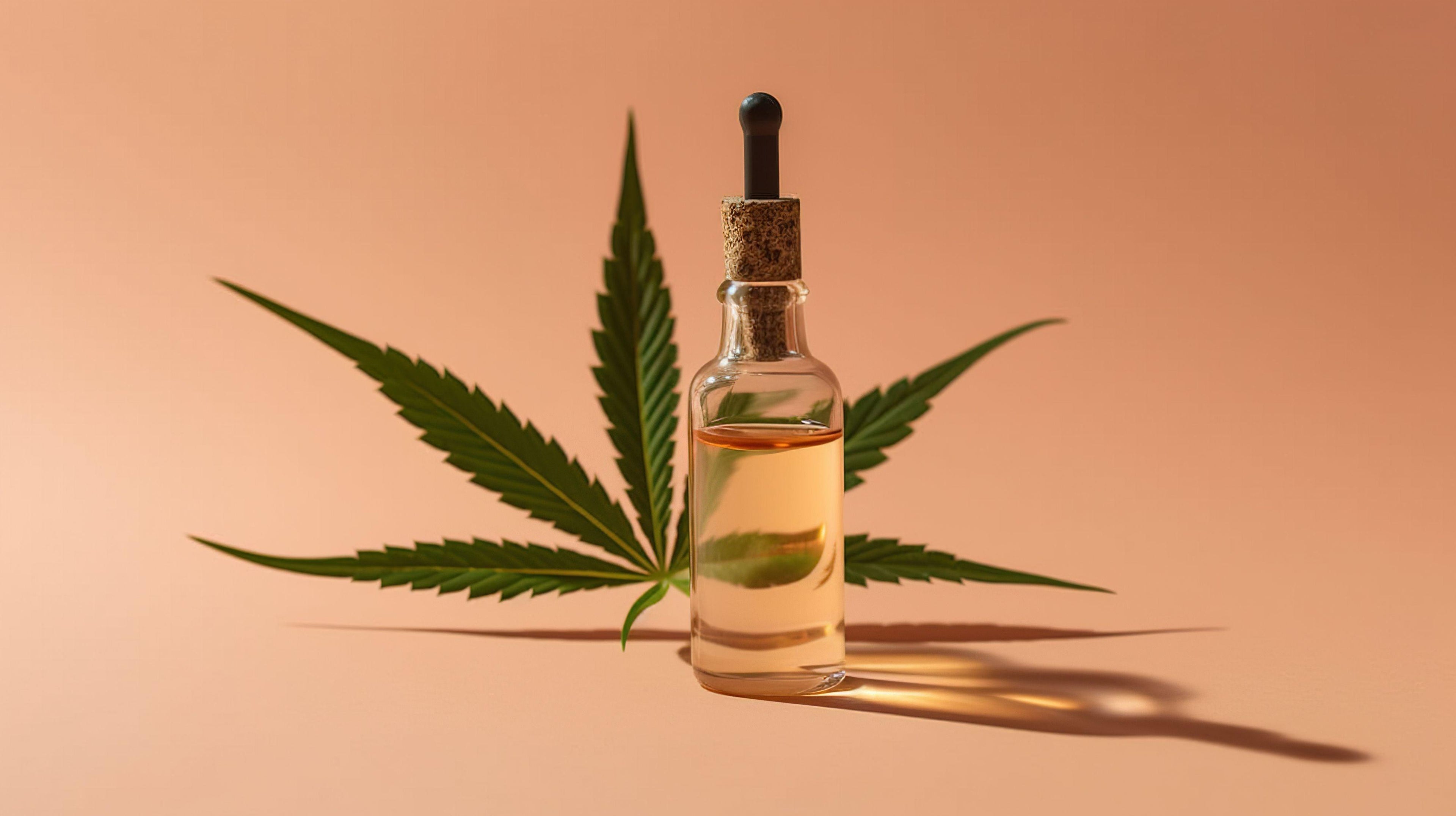 UN NOUVEL ESSAI CLINIQUE RÉVÈLE LES BIENFAITS DU CBG SUR LE STRESS ET L’ANXIÉTÉ - Herbe à chat CBD Image