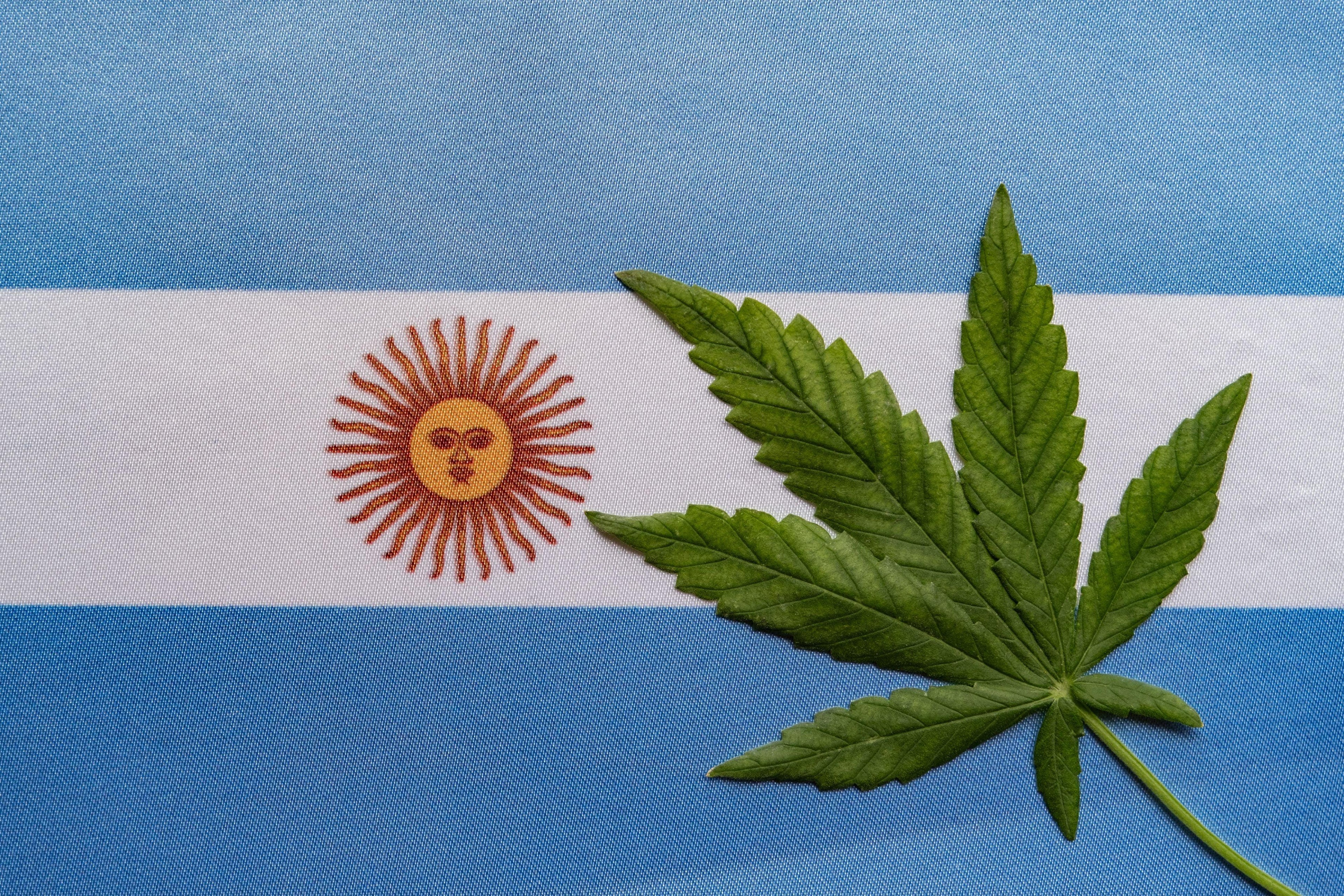 UNE CLINIQUE GRATUITE DE CANNABIS MÉDICAL OUVRE DANS UN HÔPITAL PUBLIC EN ARGENTINE - Herbe à chat CBD Image