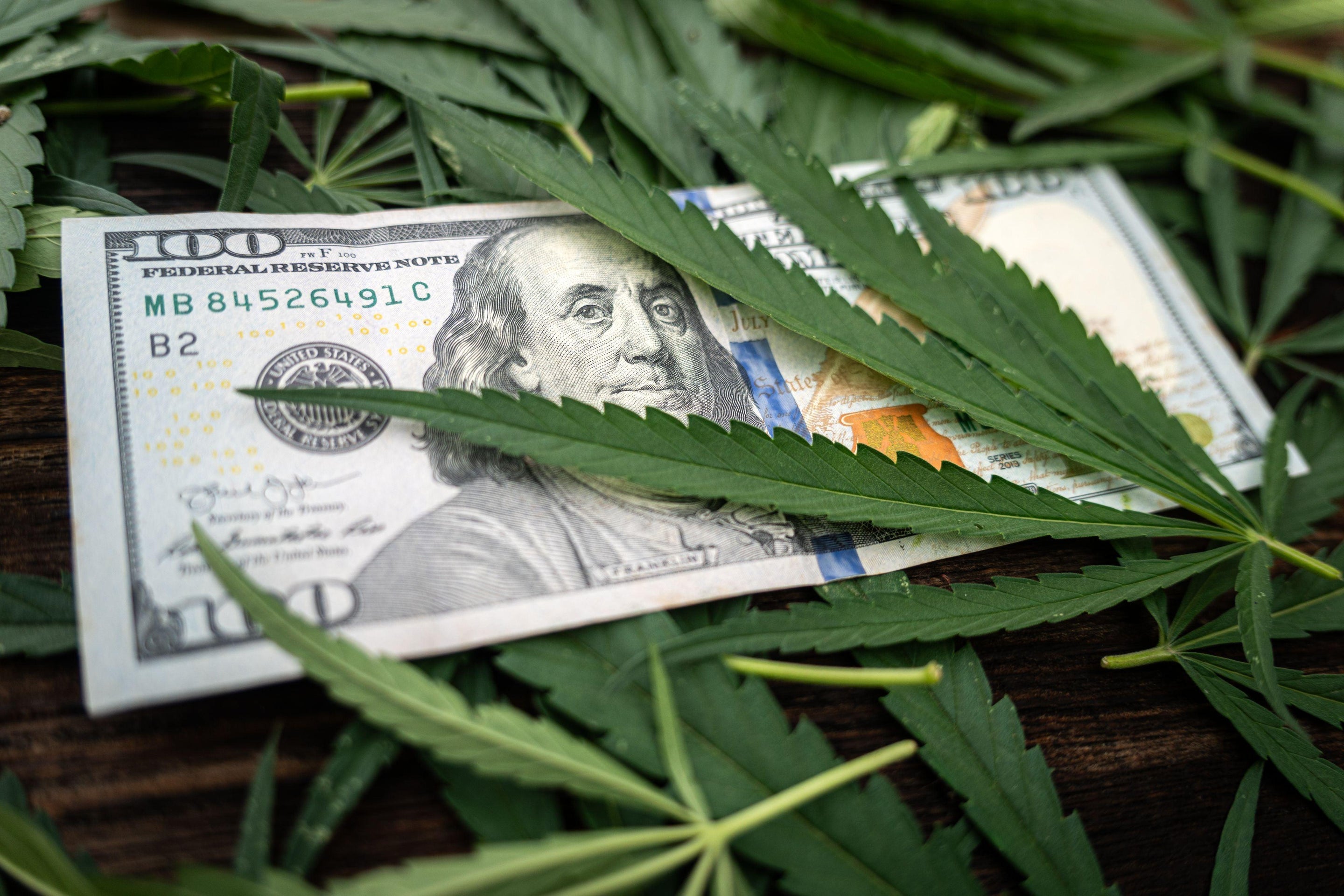Fiscalité du Cannabis : Les États-Unis Récoltent 8,7 Milliards de Dollars - Herbe à chat CBD