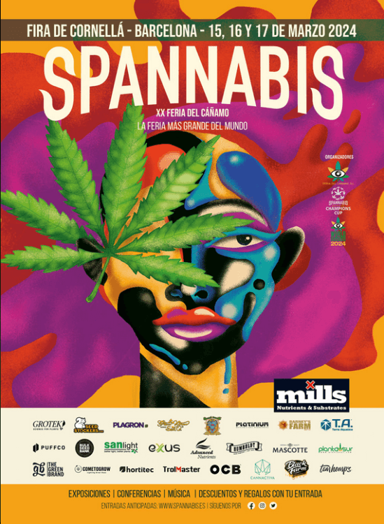 Spannabis Champions Cup 2024 : Les résultats de la Compétition d'Élite du Cannabis Image