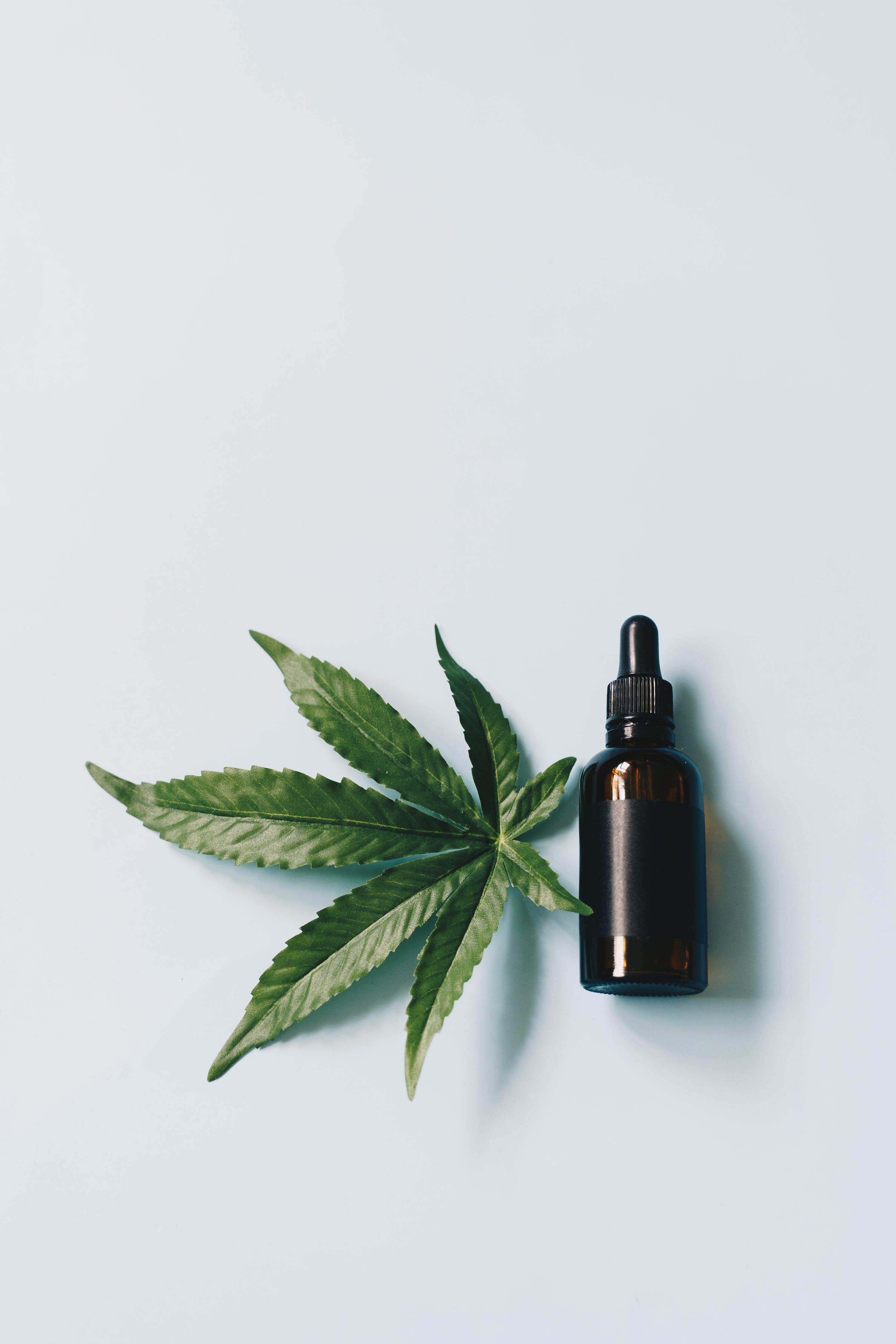 Le CBD dans la lutte Contre les Douleurs Chroniques et Articulaires Image