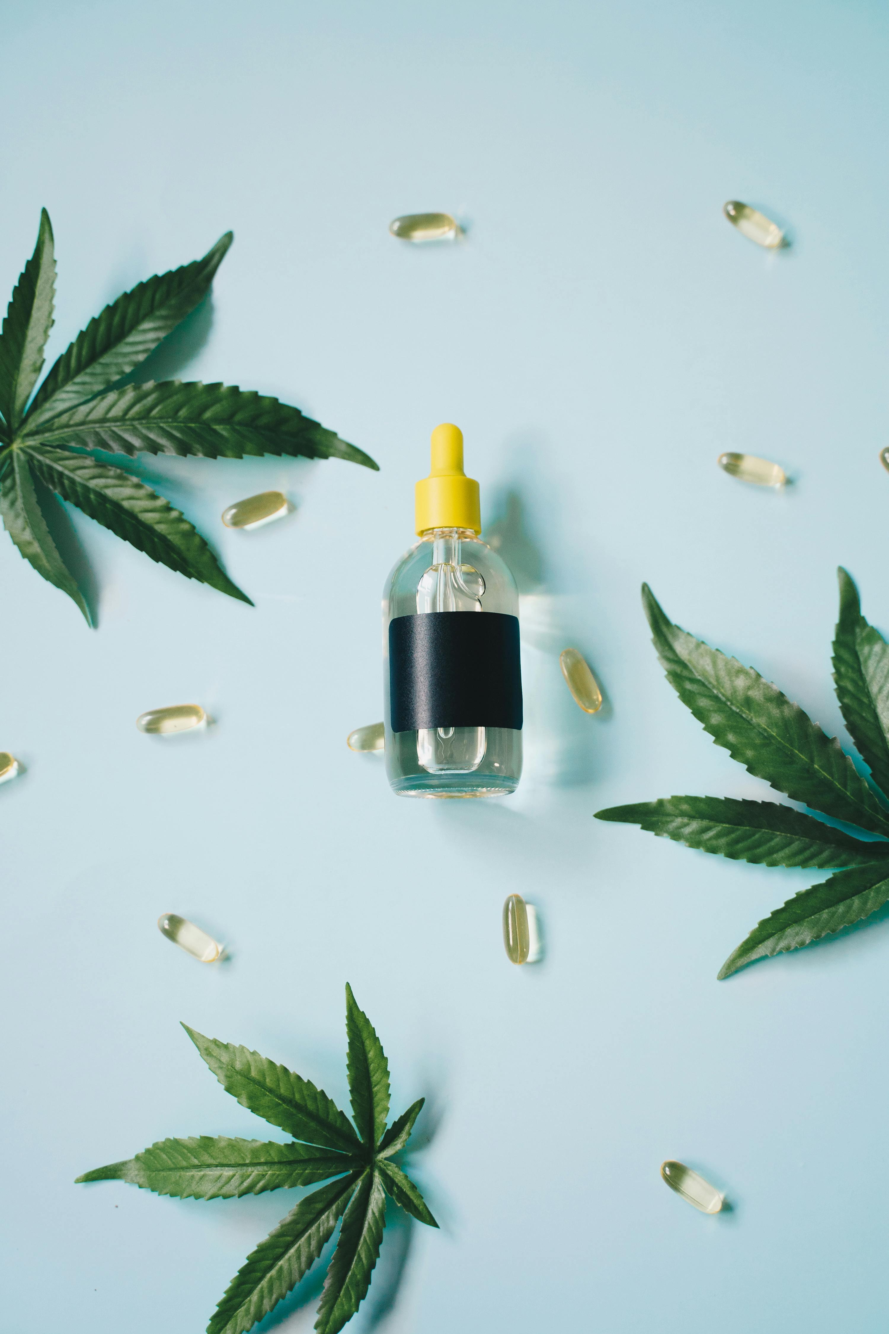 Gélule CBD ou Huile CBD ? Quel choix faire ? Image