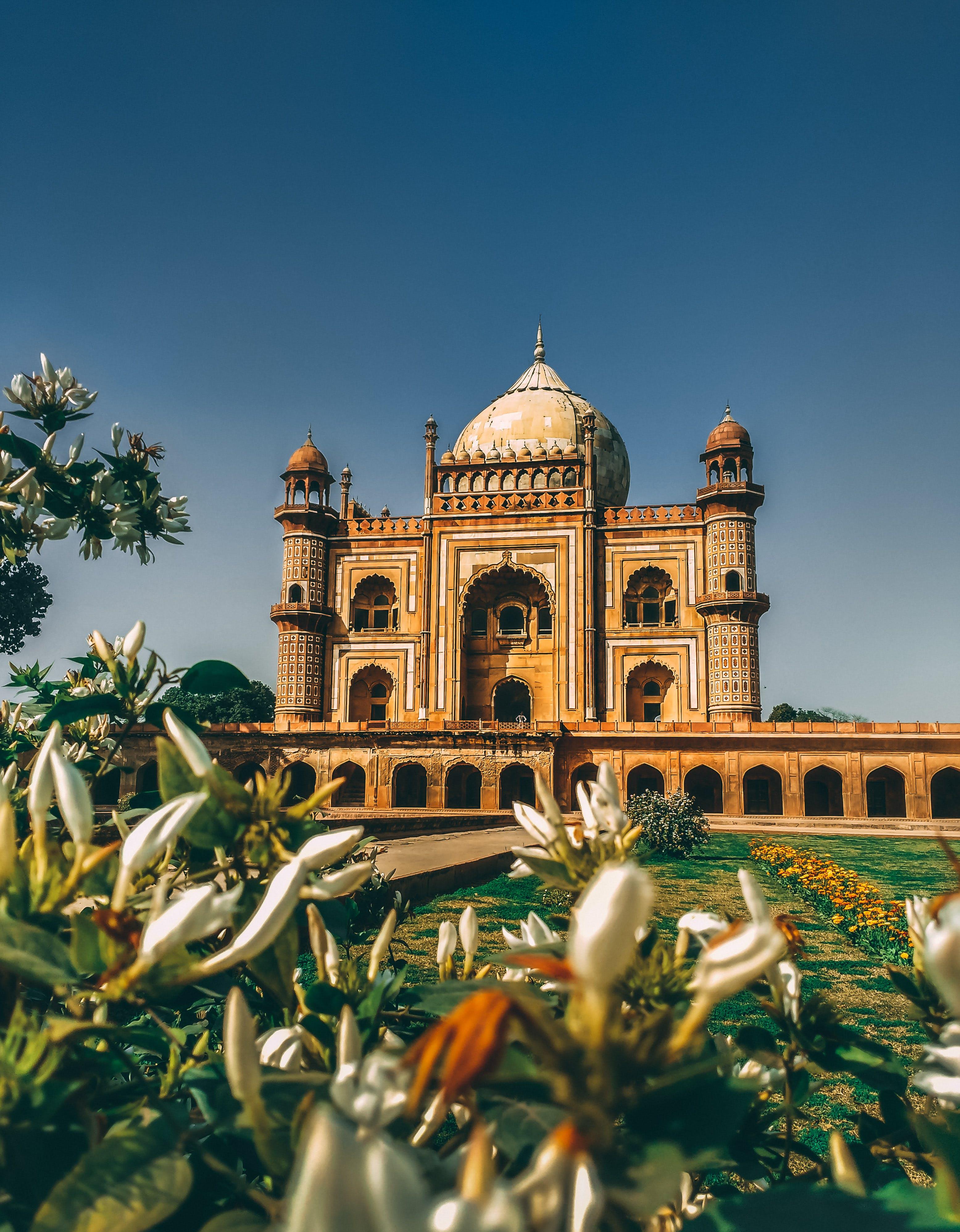 La révolution du CBD bien être en Inde Image