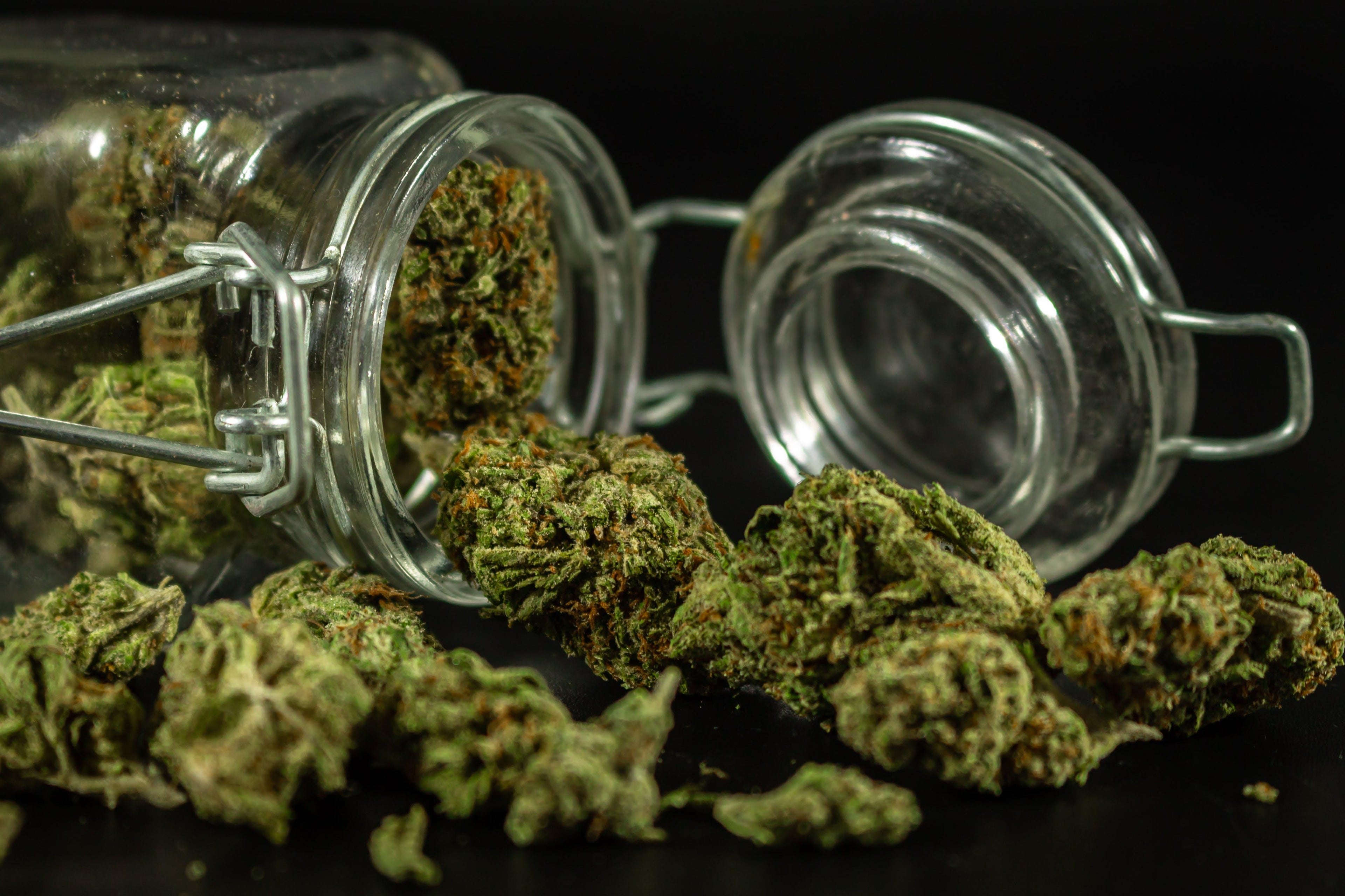 Consommer du CBD tous les jours c'est possible ? Image