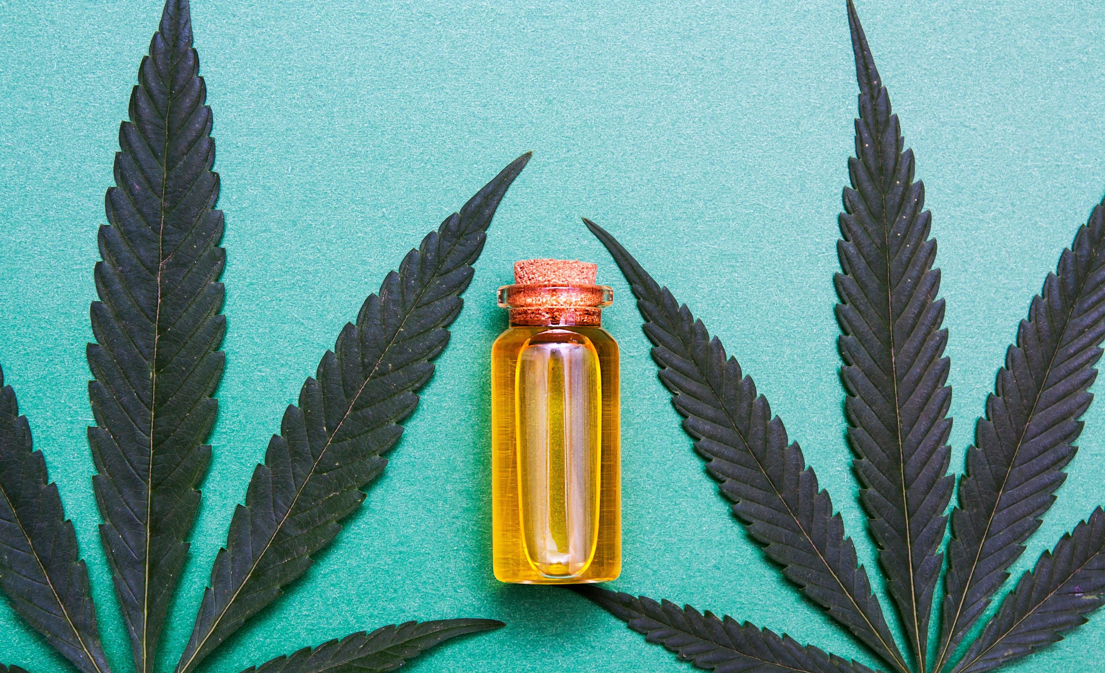 COMMENT MICRODOSER FACILEMENT LE THC ET LE CBD - Herbe à chat CBD Image