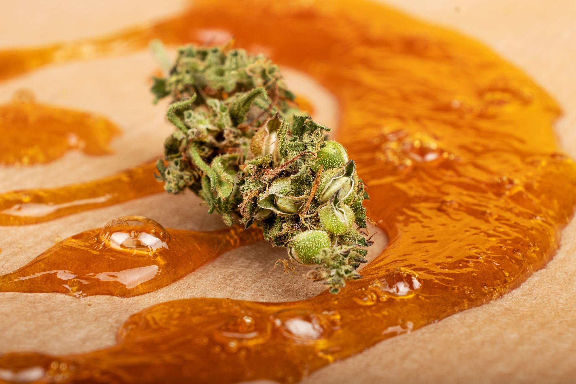 Découvrez le Shatter : Concentré de Cannabis à Haut Taux de CBD Image