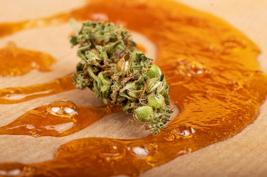 Découvrez le Shatter : Concentré de Cannabis à Haut Taux de CBD