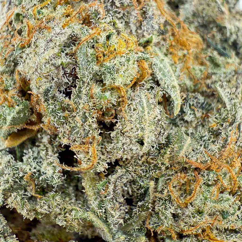 Apple Friter | Indoor hydroponique | USA | 19% CBD