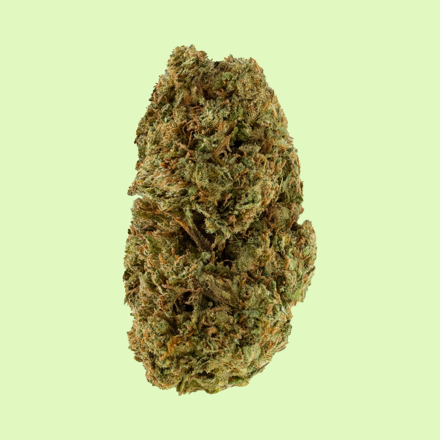 Biscotti | Glass-House | 9% CBD