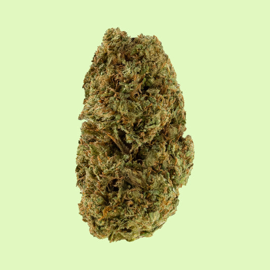 Biscotti | Glass-House | 9% CBD