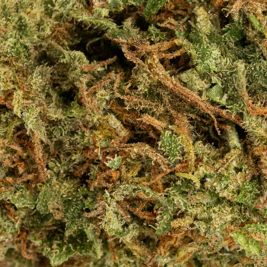 Biscotti | Glass-House | 9% CBD