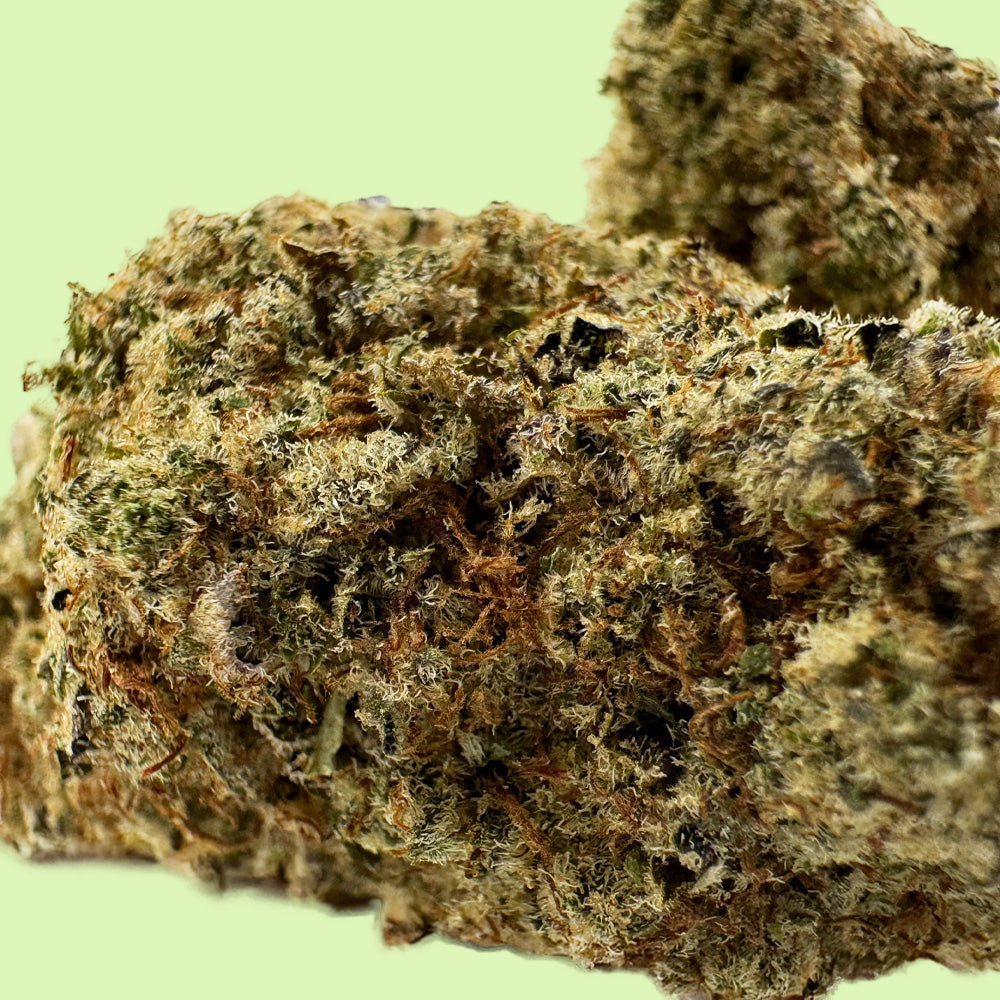 Cereal Milk | Indoor hydroponique | USA | 18% CBD