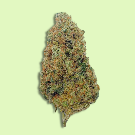 Bubble Gum | Indoor hydroponique | 16% CBD