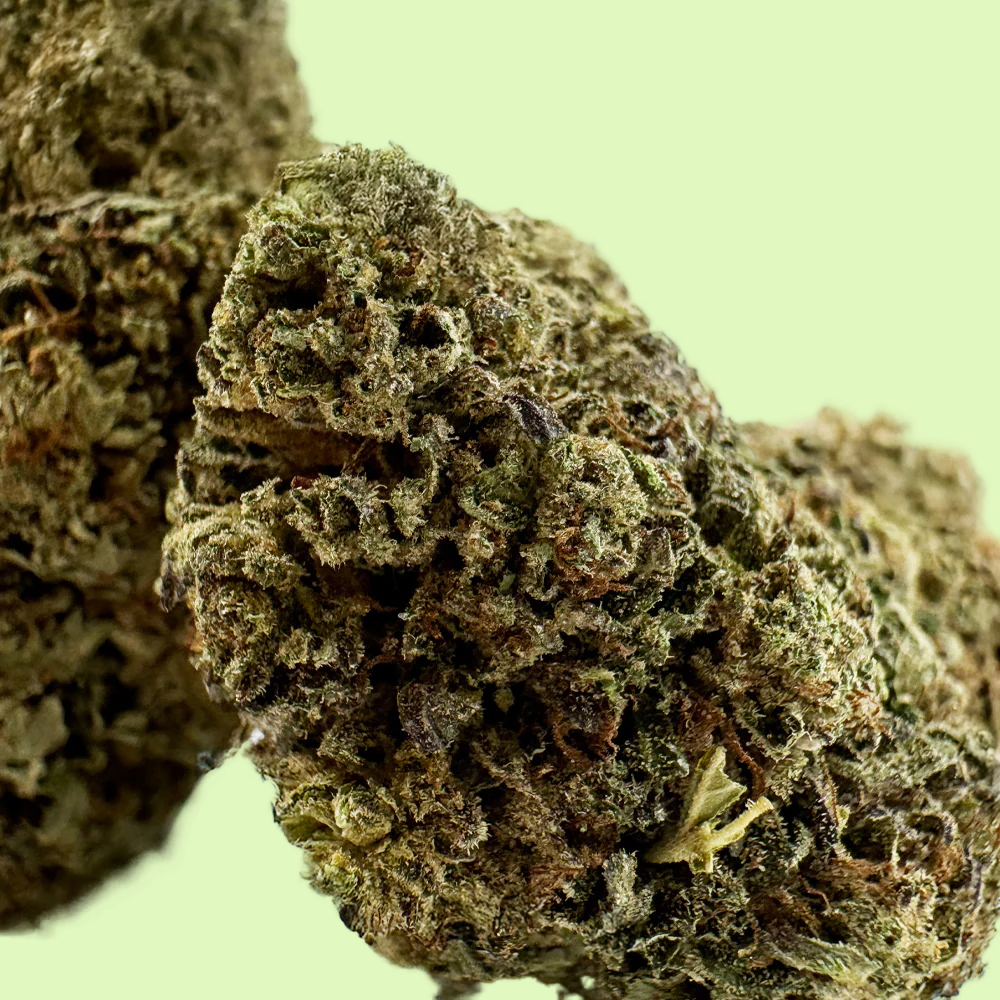 Critical | Glass-House | USA | 11% CBD
