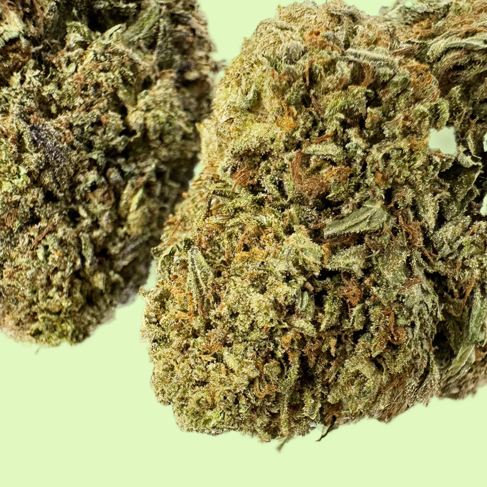 Critical | Glass-House | USA | 11% CBD
