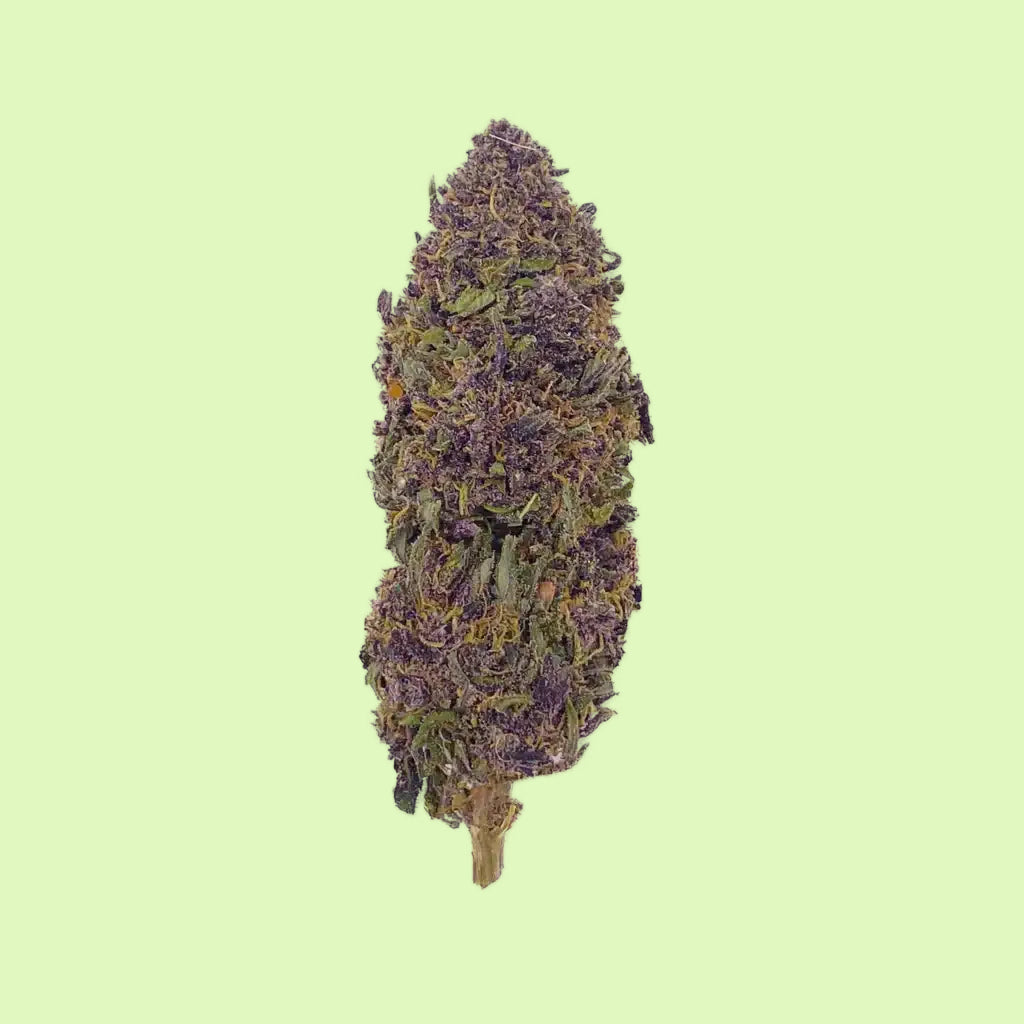Purple Haze | Glass-House | 11% CBD