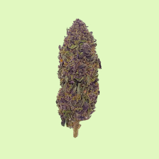 Purple Haze | Glass-House | 11% CBD