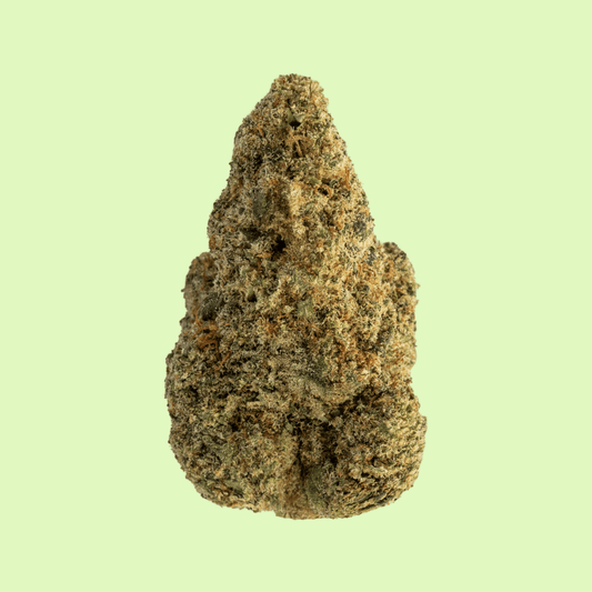 Gelato 33 | Indoor hydroponique | LIVE TERPENES | 12% CBD