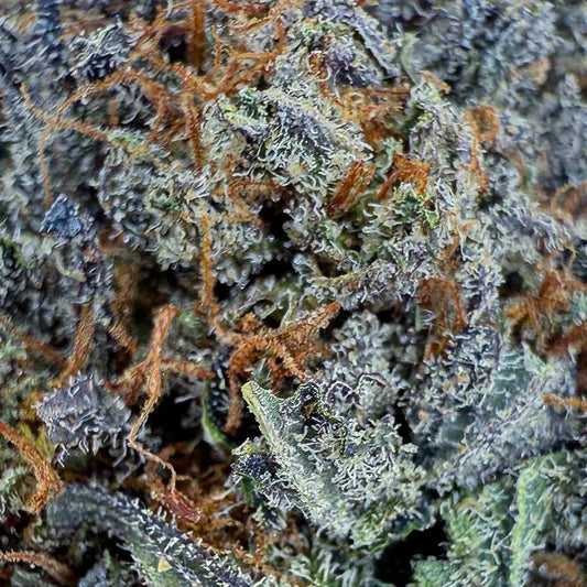 Red Runtz | Indoor hydroponique | USA | 16% CBD