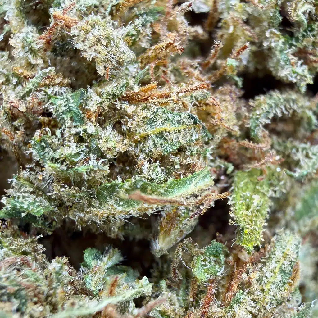 Fleurs brutes Strawberry Mint de la marque Herbe à chat CBD, mélange de bourgeons de CBD avec parfum de menthe et fraise, 13% CBD.