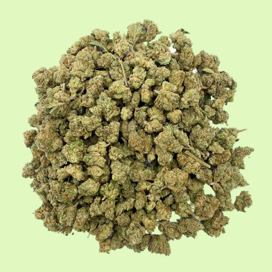 Harley Quinn | Indoor | 8% CBD