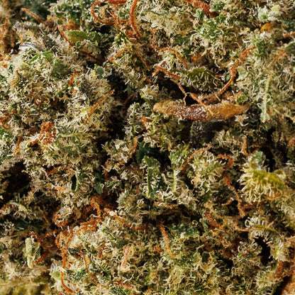 L.A. Confidential | Indoor hydroponique | 13% CBD