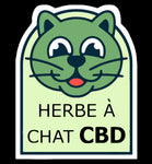 Herbe à chat CBD