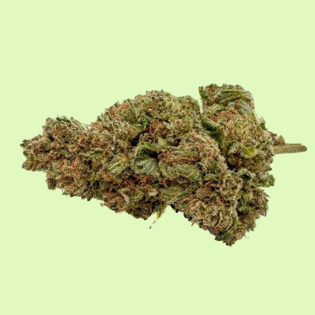 Lemonade | Indoor | 30% CBC