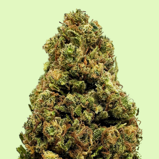 Orange Bud | Indoor | 11% CBD