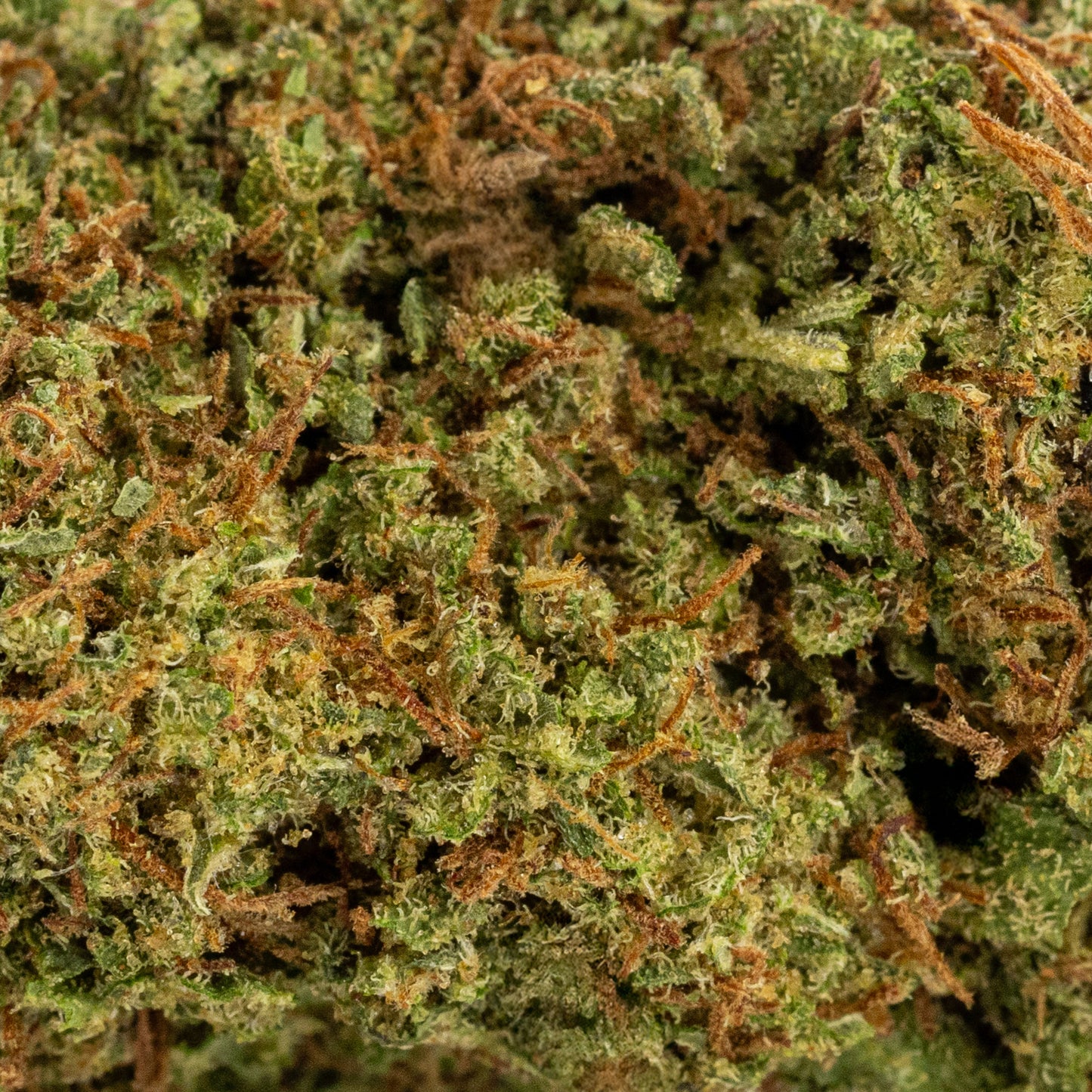 Orange Bud | Indoor | 11% CBD