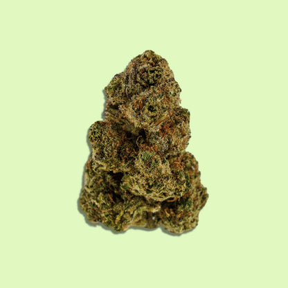 Royal Haze | Indoor hydroponique | LIVE TERPENES | 10% CBD