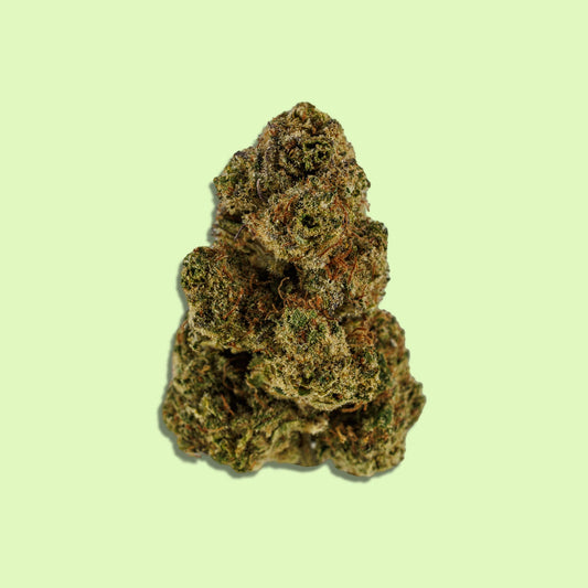 Royal Haze | Indoor hydroponique | LIVE TERPENES | 10% CBD