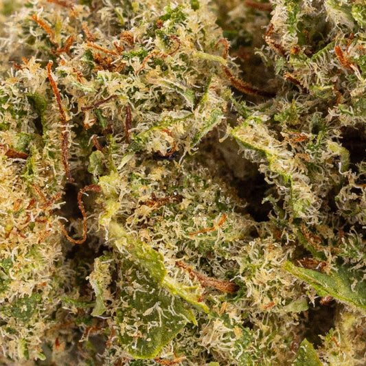 Super Lemon Haze | Indoor | 12% CBD